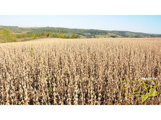 Property photo 42 - 1,153 +/- Acres offered in 15 TractsLAND AUCTION